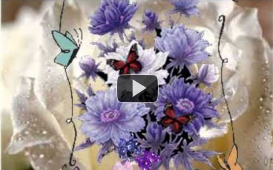 ANNAMARIA MAIOLINO - Le farfalle